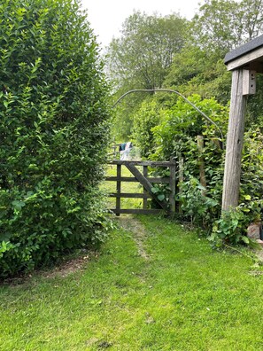 Ein hölzernes Tor führt in einen üppigen, grünen Garten mit dichtem Grün und einer Holzkonstruktion auf der rechten Seite.