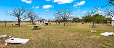 A grassy field with picnic tables, a white structure, and a building in the background.