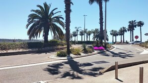 Une route bordée de palmiers, un panneau de signalisation indiquant un arrêt obligatoire et un panneau de direction.