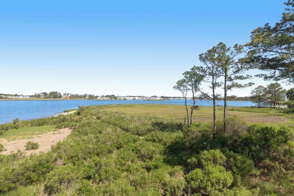 A lakeside view with trees and a clear sky.