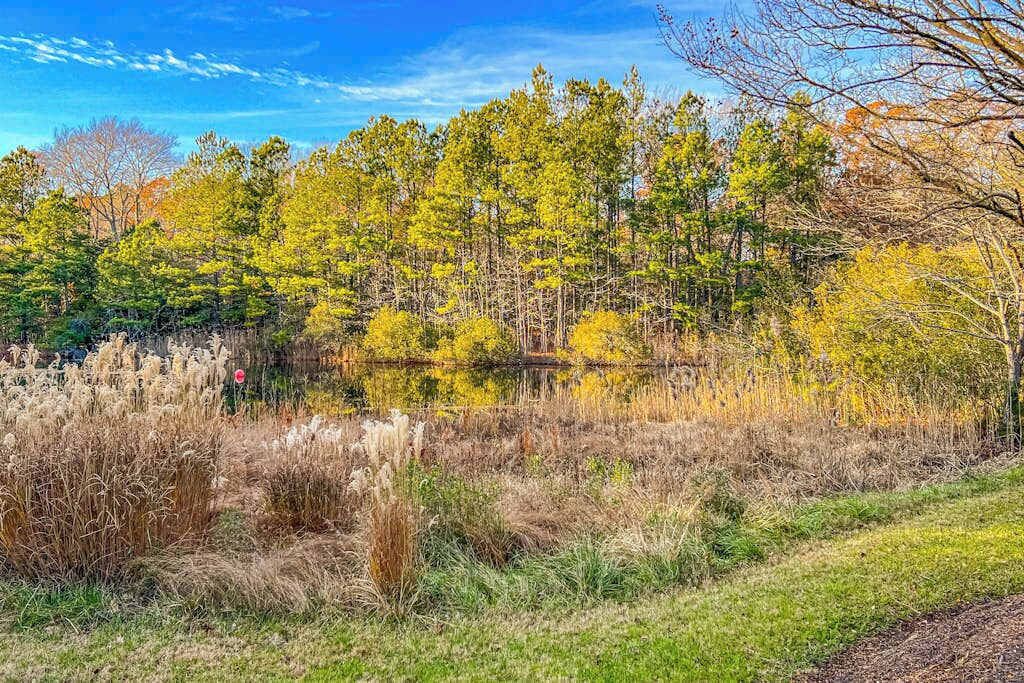 A natural landscape with a body of water, trees, and grassy areas.