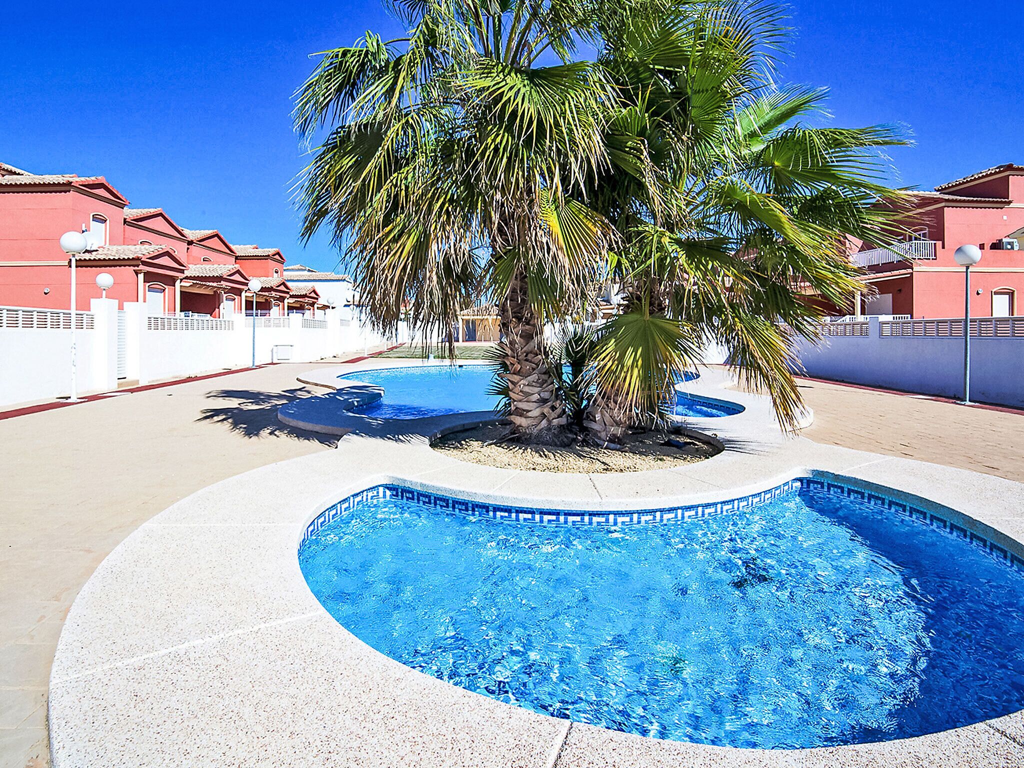 A swimming pool with a palm tree, surrounded by a white fence and buildings with red roofs.