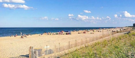 Playa en los alrededores