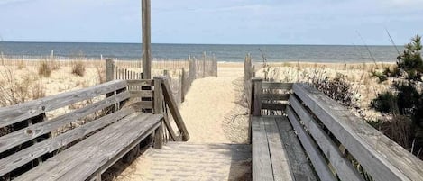 On the beach