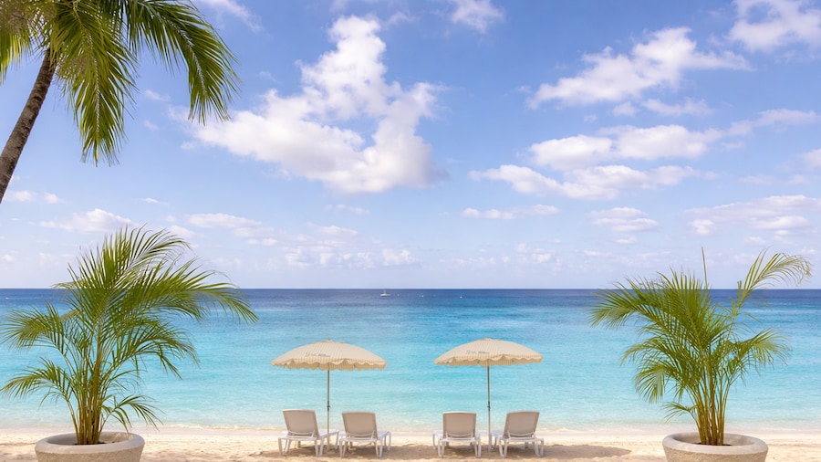 Blue Monkey Hotel & Beach Club