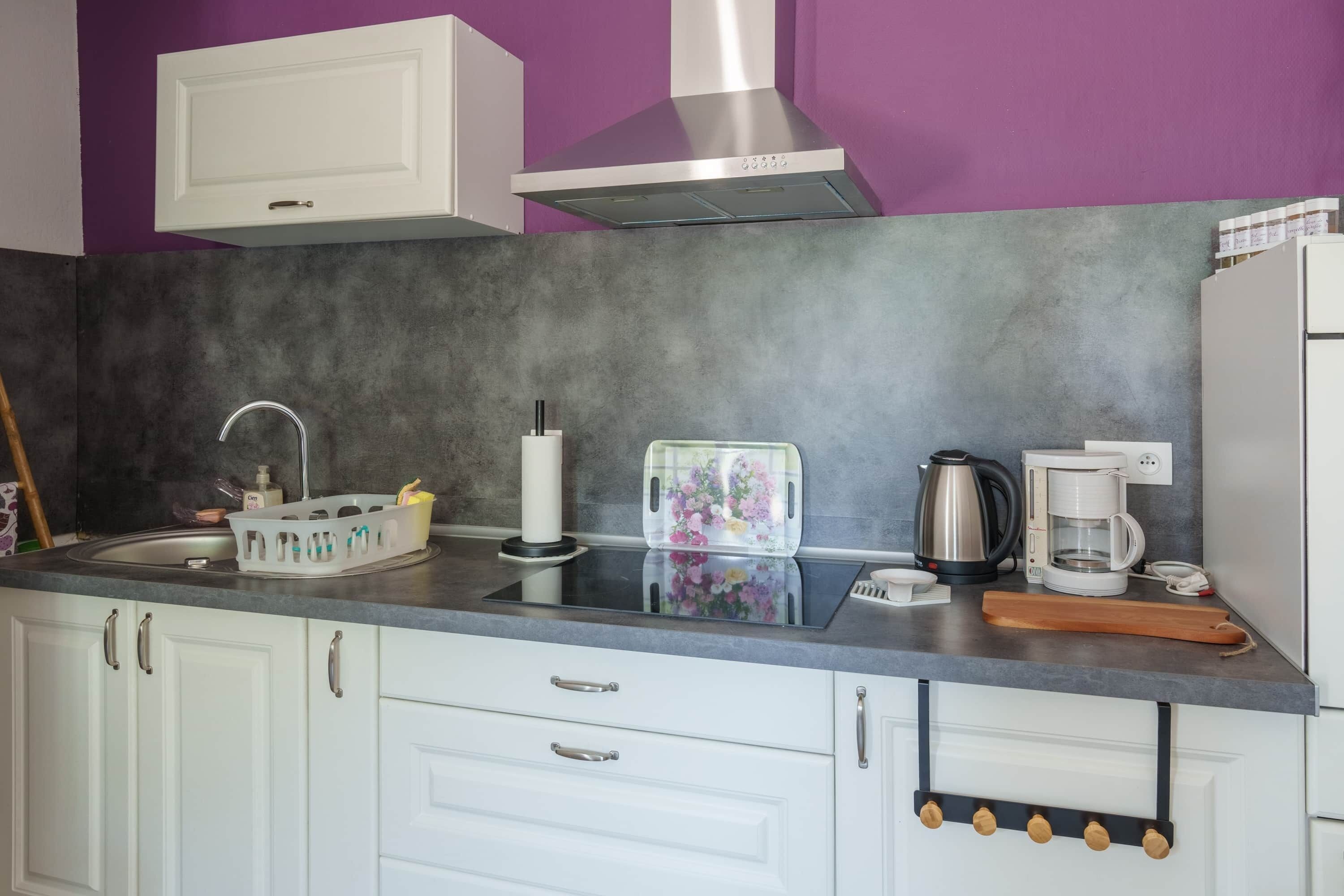 Fridge, microwave, oven, cookware/dishes/utensils