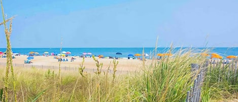 Playa en los alrededores