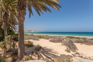 Ein Strand mit Palmen, Sanddünen und blauem Meer.