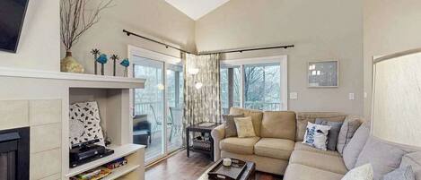 TV, fireplace, video games, DVD player