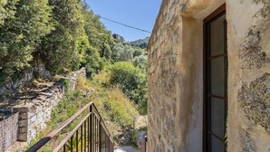 Un estrecho sendero de piedra que lleva a un edificio con una ventana, rodeado de follaje y un muro de piedra.