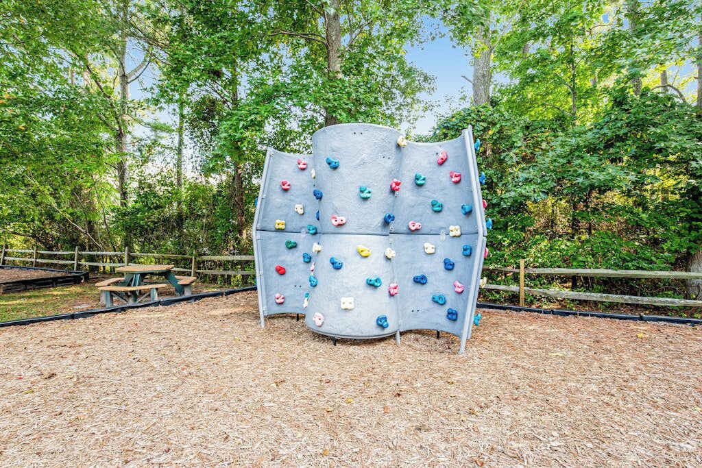 A climbing wall with various holds, surrounded by trees and a picnic table.