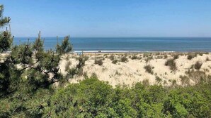 Ein Strand mit Dünen, spärlicher Vegetation und freiem Blick auf den Ozean.