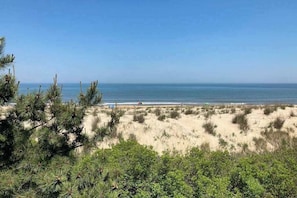 A beach with dunes, sparse vegetation, and a clear view of the ocean. - Fenwick Island townhome - oceanfront location, 3 decks, fast WiFi, & W/D (Fenwick Island)