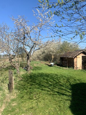 Ein ländliches Anwesen mit einer Rasenfläche, einem Hollerntstellraum und einem Baum in voller Blüte.