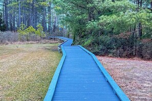 Eine blaue Holzpromenade durch ein bewaldetes Gebiet.
