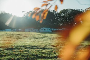 Property grounds - Bracelands - Cosy Pod 4 (Coleford)