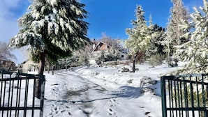A snow-covered pathway leading to a house with a green gate.