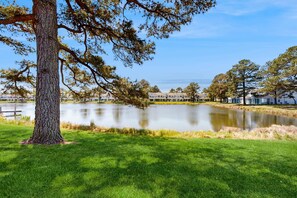 Una vista tranquila del lago con un árbol grande, un área con césped y edificios al fondo.