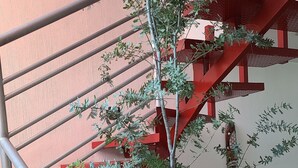 A staircase with red railings, a glass table with a potted plant, and a pair of boots on the floor. - Casa Mariachi & World Cup (Las Víboras)