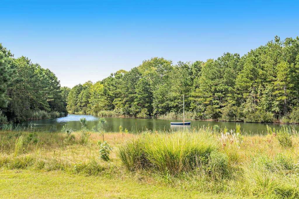 Paisaje natural con un lago, árboles densos y un pequeño bote.