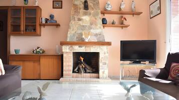 TV, fireplace, ping pong