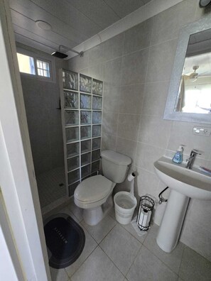 Shower, towels, soap, toilet paper