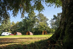 Property grounds - Bracelands - Safari Tent 5 (Coleford)