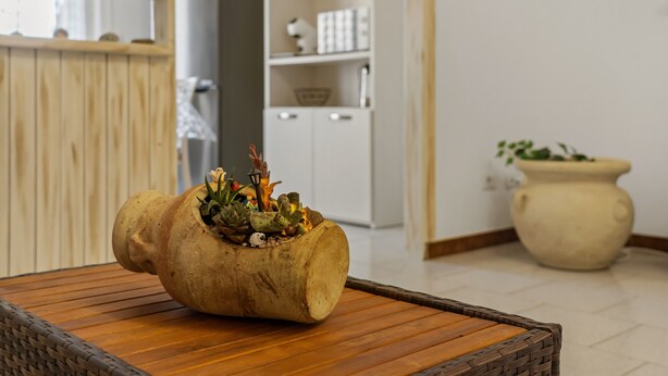 Una mesa de madera rústica con una maceta original que contiene diversas plantas.