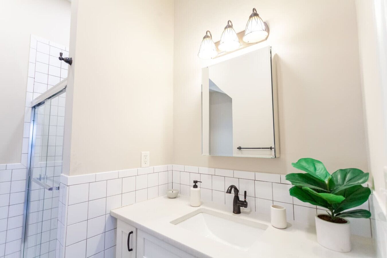 Een badkamer met een douche, een wastafel met spiegel en een potplant.