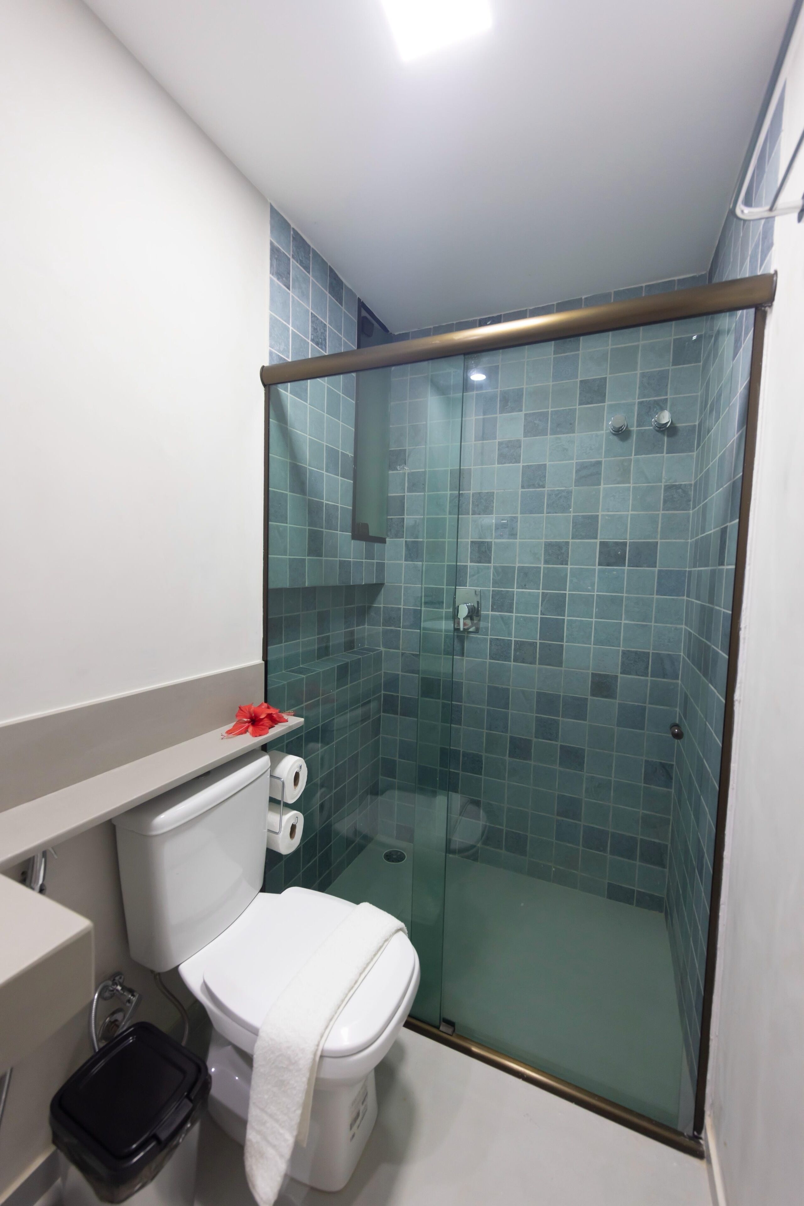 Standard-Studio | Badezimmer | Dusche, Handtücher, Toilettenpapier