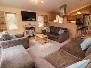 Ein Wohnzimmer mit Kamin, einer Couch, einem Couchtisch und einer Küchenzeile mit Geräten.