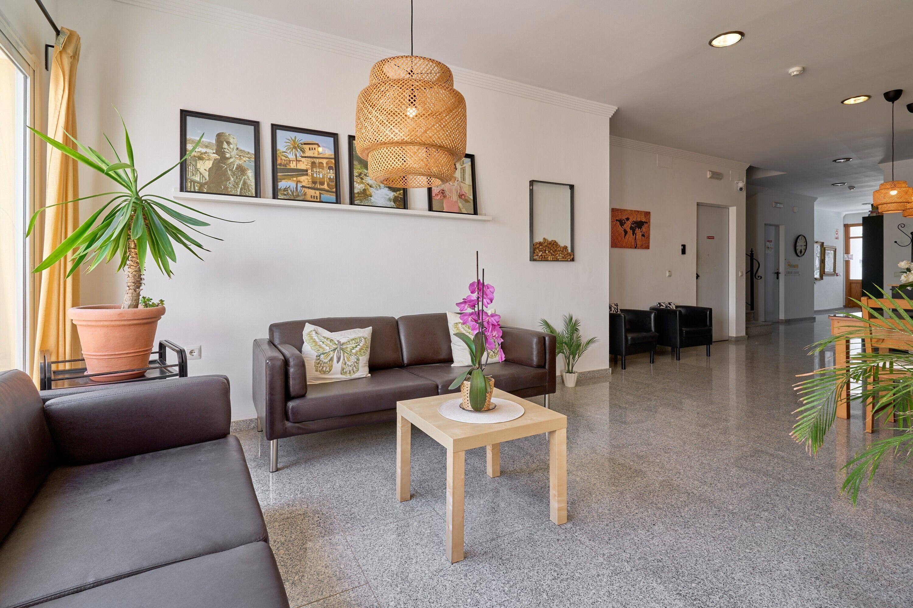 Un salon moderne avec un canapé, une table basse et une plante en pot.