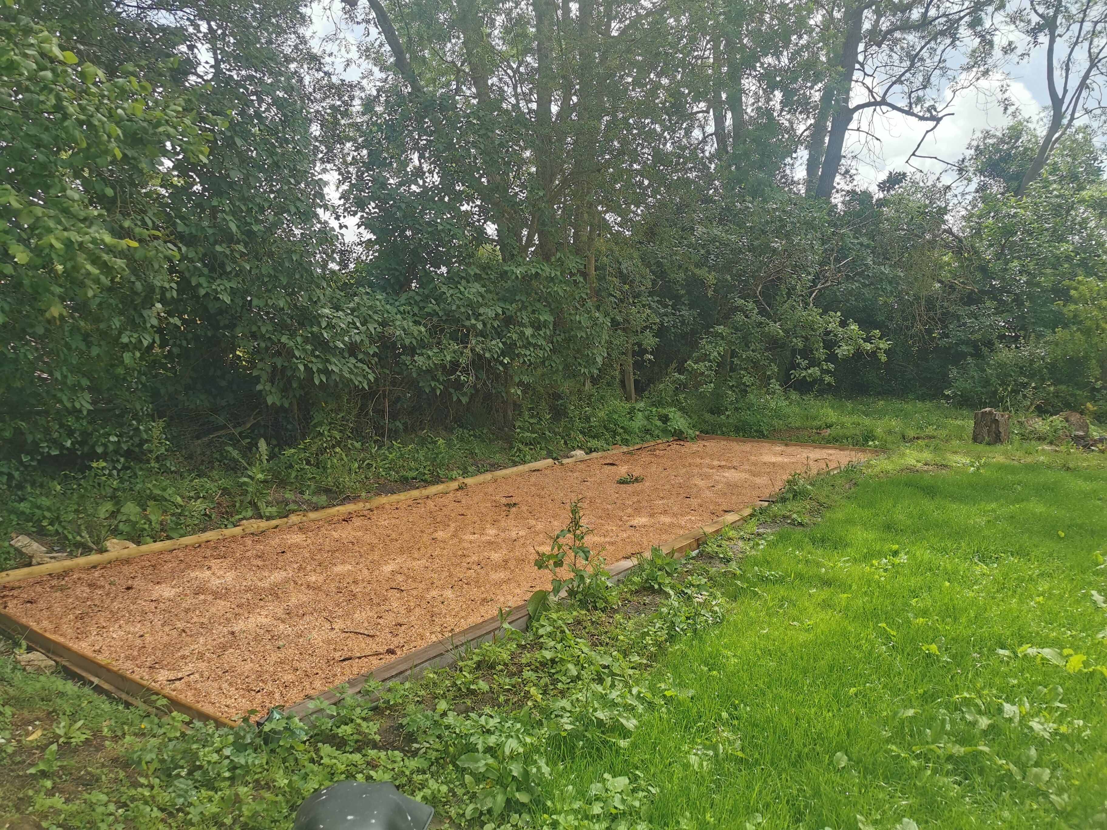 A garden area with a raised bed, surrounded by dense greenery and trees.
