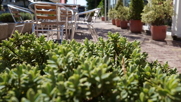 Un espace extérieur aménagé avec des chaises et des tables en métal, des plantes en pot et, en arrière-plan, un bâtiment doté d’une façade en verre.