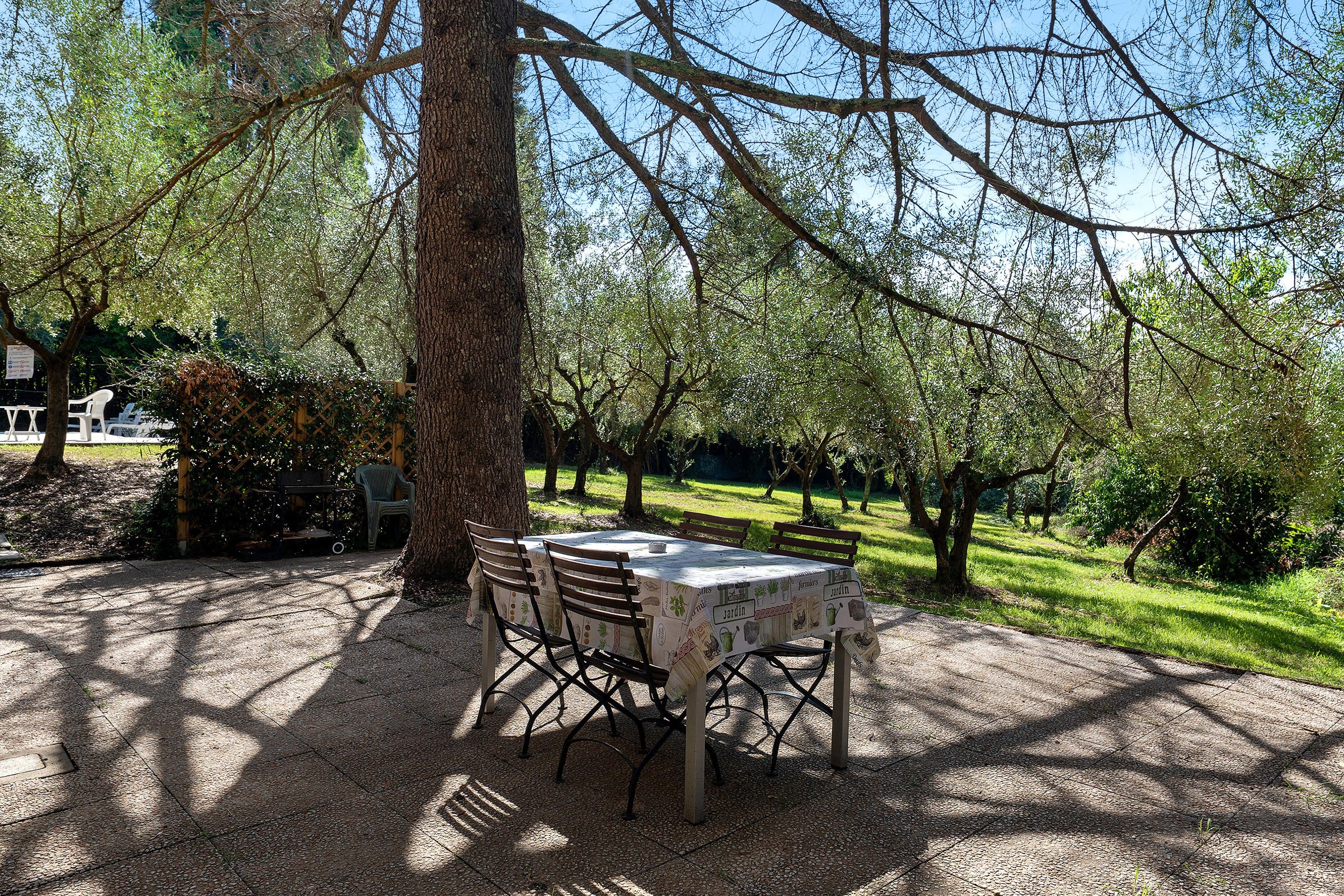 An outdoor dining area with a table and chairs under a tree, surrounded by greenery.