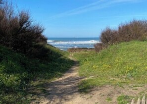 Ein Küstenpfad, der zum Meer führt, mit grasbewachsenen Hängen und Wildblumen.