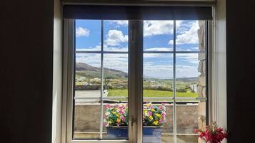 Ein Fenster mit Blick auf eine Landschaft, eine Tür und ein Blumentopf auf dem Fensterbrett.