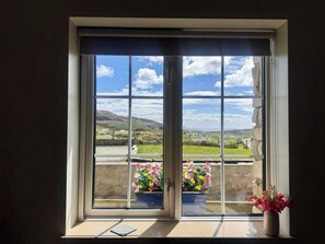 A window with a view of a landscape, a door, and a potted plant on the windowsill.