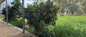 Nafplio Garden House · 5' to Old Town · Free Parking