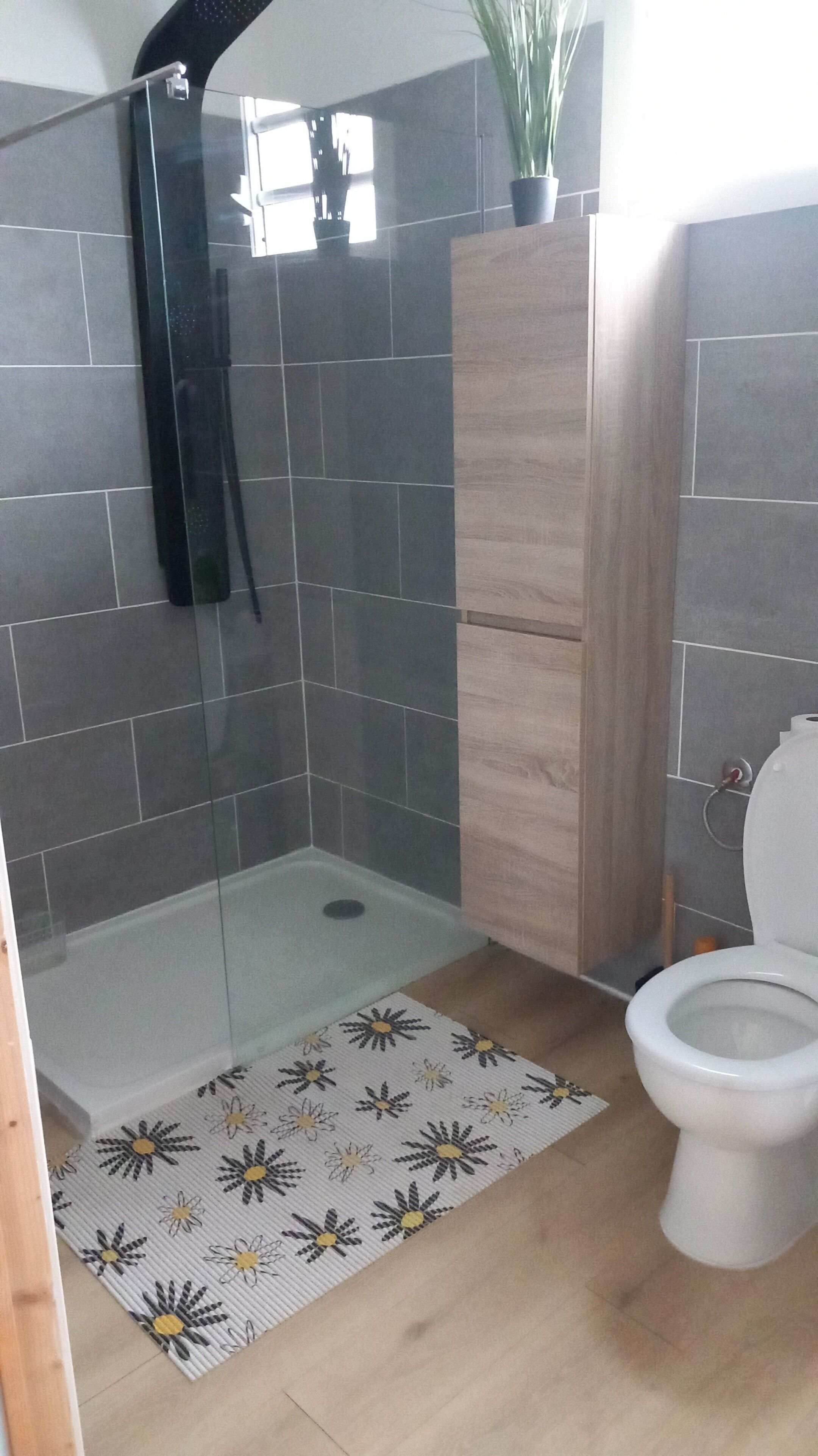Douche, serviettes fournies, papier toilette