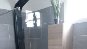 A shower with a glass door, a toilet, a cabinet, and a patterned rug. - Bungalow Le Sapotille (Saint-Paul)