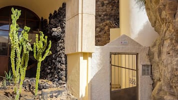 Entrada de un edificio con fachada de piedra, una reja metálica y una planta de cactus.
