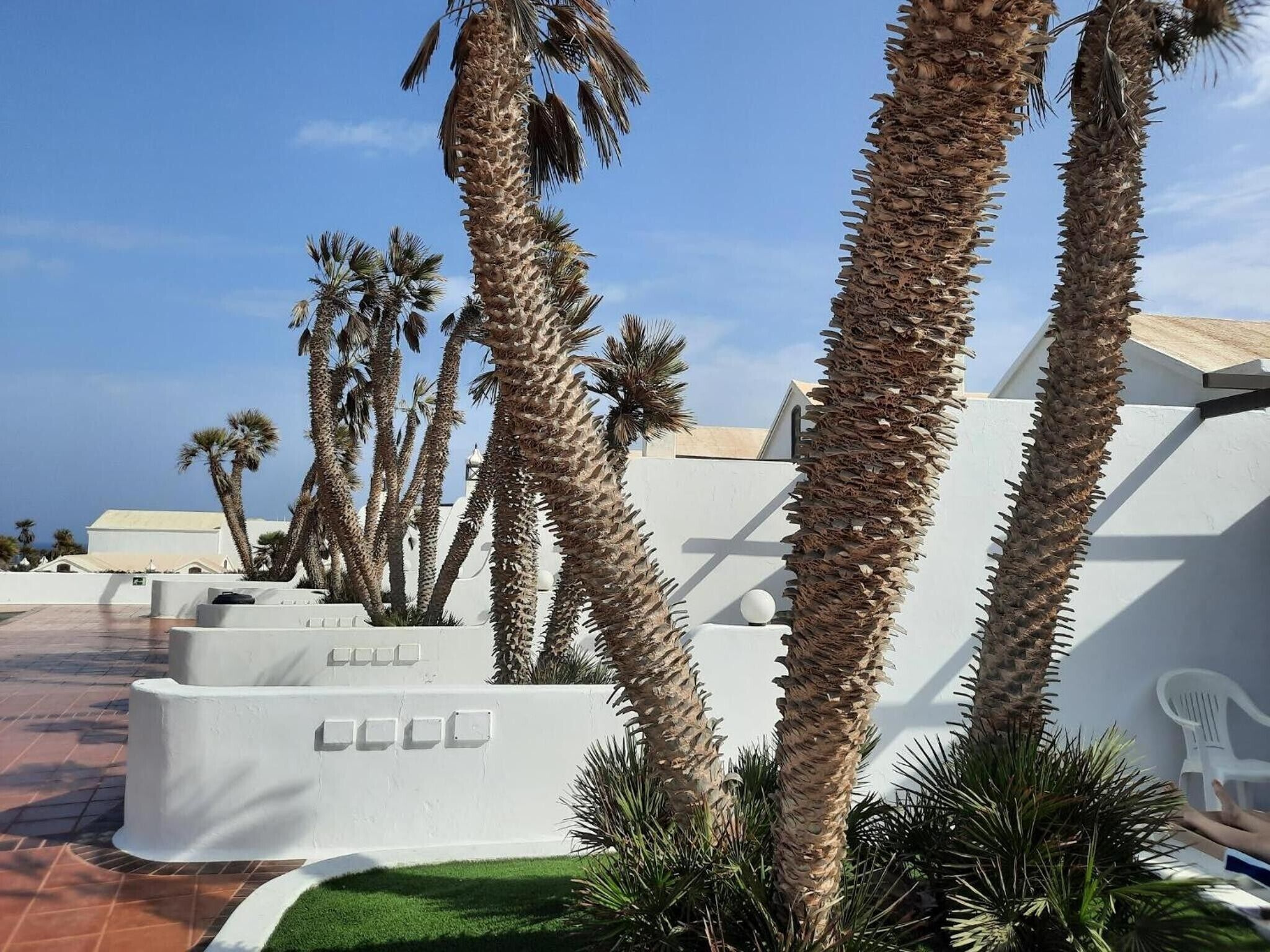 Jardines del alojamiento