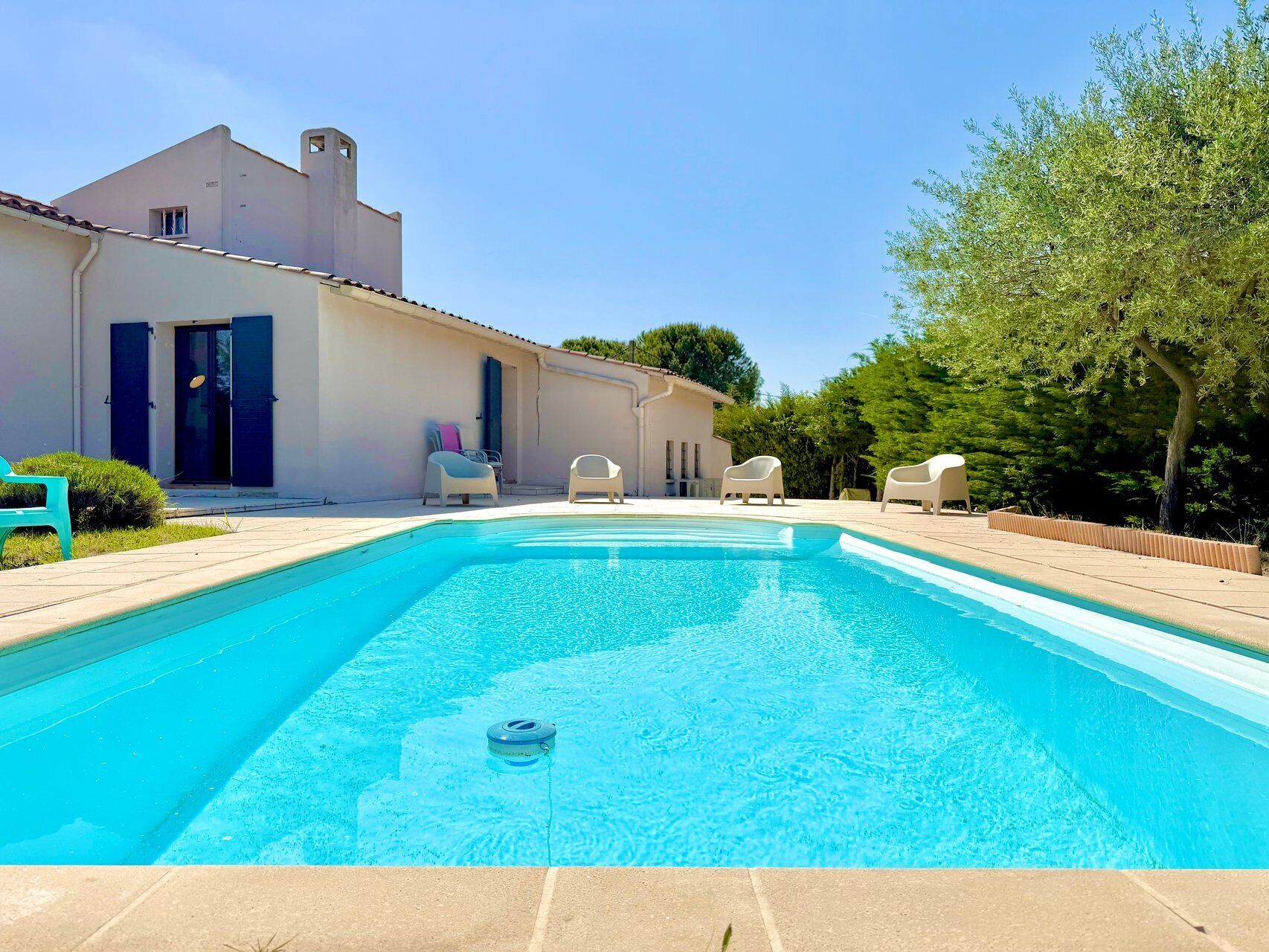 Une piscine à l’eau d’un bleu cristallin, entourée de chaises blanches, un bâtiment blanc aux volets bleus et un arbre.