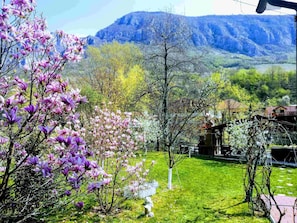 Un jardin où les fleurs sont en pleine floraison, avec une montagne en arrière-plan.