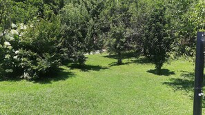 Property grounds - 3-bedroom villa in superb place at Băile Herculane, self checkin Anastasiahouse (Băile Herculane)