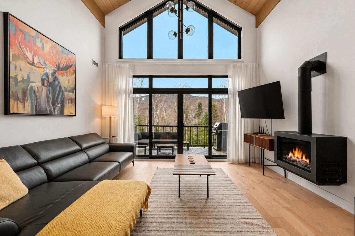 TV, fireplace, stereo