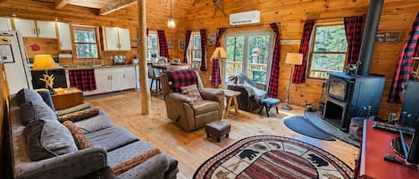 TV, fireplace, DVD player, video library