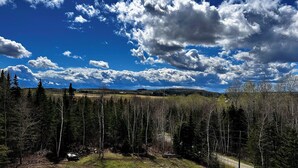 A forested landscape with a clear sky. - MBA- New Apt w/Direct Access Snowmobile/ATV Trail (Presque Isle)