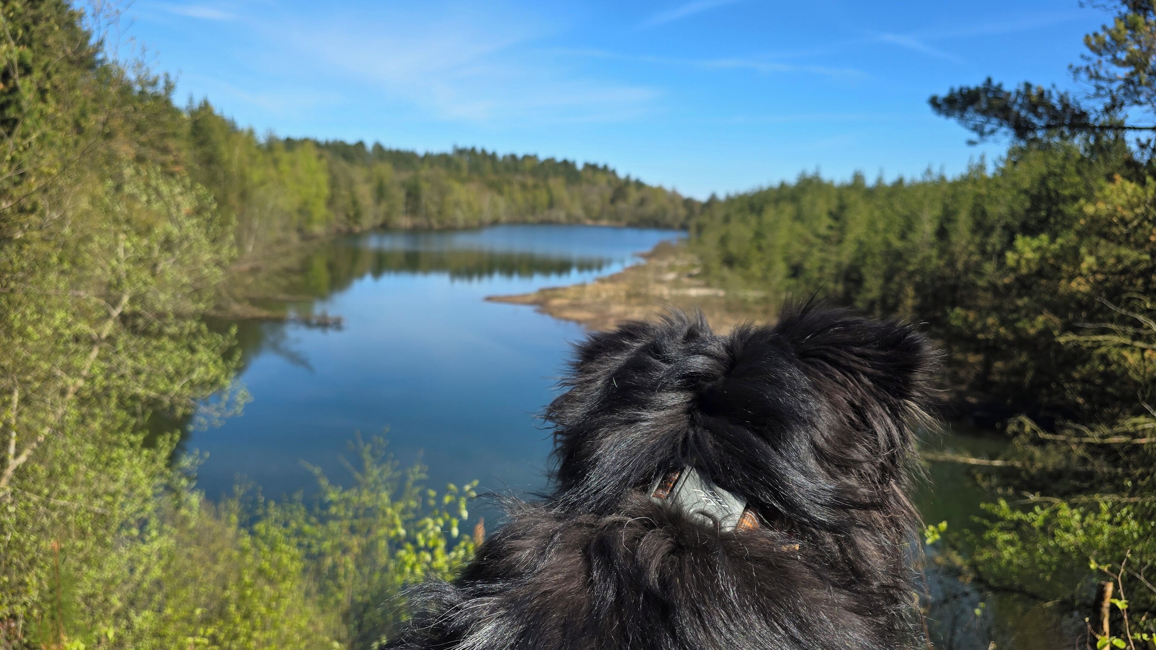 Hiking